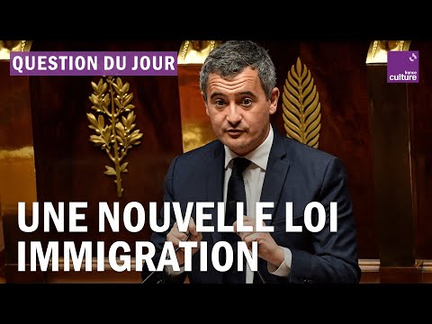 Vidéo: Qu'est-ce que l'immigration et la naturalisation ?