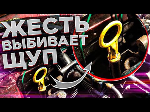 ВЫБИВАЕТ МАСЛЯНЫЙ ЩУП!!! ДАВИТ МАСЛО ВО ВПУСК И ВОЗДУШНЫЙ ФИЛЬТР!!! ГОРИТ МАСЛЕНКА! ЧТО МОЖЕТ БЫТЬ?