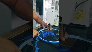 bordando Mariposas