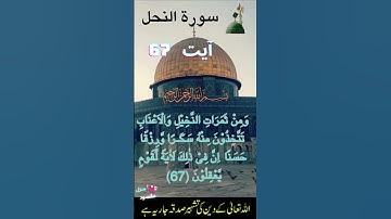 سوره نحل آیه 67 ترجمه اردو #manzilemaqsood #ترجمه #ویدئوهای کوتاه #ویروسی #نحل