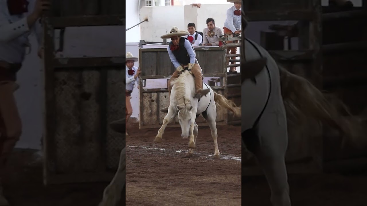 Federación Mexicana de Charrería