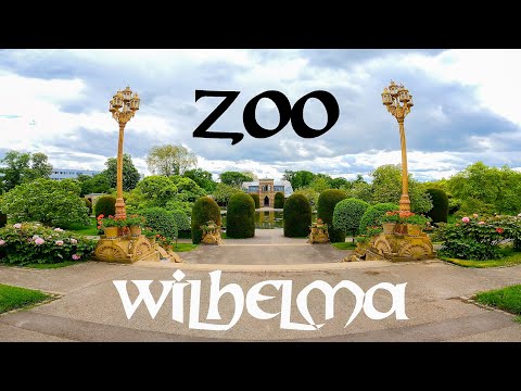 Видео: Зоопарк в Щутгарт
