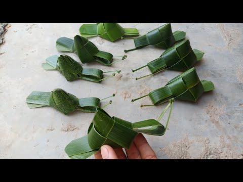 Cách làm con ốc sên bằng lá dừa đơn giản đẹp