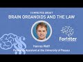 15 minutes about Brain Organoids and the Law