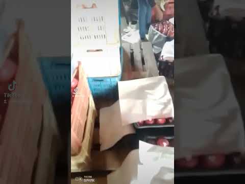 صور تفاح لبناني عالي الجوده