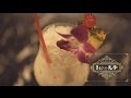 カリブ海で生まれたトロピカル・カクテル “ピニャ・カラーダ（Piña Colada）”のつく…