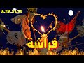 فراشه حالة واتس اب حسن المرواني كاظم الساهر