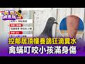 控鄰居頂樓養鴿狂滴糞水！禽蟎叮咬小孩滿身傷 10萬修繕和解後仍不改【民怨調查局】