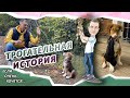 Спасение животных в Черногории