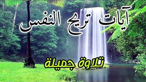 وَسِیقَ ٱلَّذِینَ ٱتَّقَوۡا۟ رَبَّهُمۡ إِلَى ٱلۡجَنَّةِ زُمَرًا | تلاوة جميلة تريح القلب