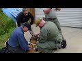 Critical care training for dogs injured in line of duty Critical care training for dogs injured in line of duty