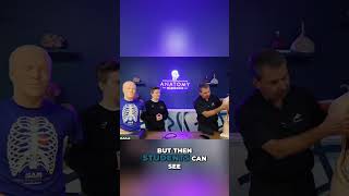 Master Lung Sounds: Connect Auscultation &amp; Anatomy! #shorts