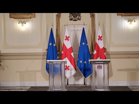 სალომე ზურაბიშვილისა და შარლ მიშელის ერთობლივი განცხადებები