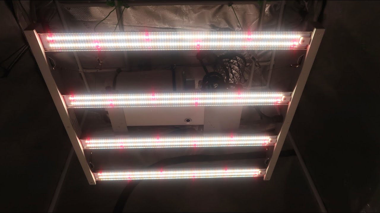 California Lightworks Solarxtreme 500 Led Grow Light Par Test Youtube