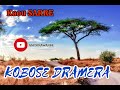 Kaou sarre dans kobose dramera