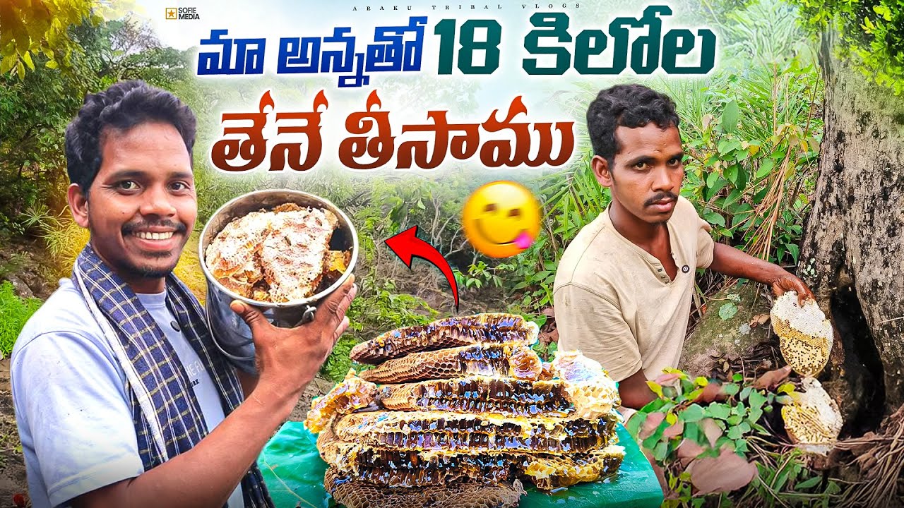 మా పెద్ద కొండల్లో  తేనెల వేట || మొదటి సారి ఇంత ఎక్కువ తేనెలు  తీయడం || Araku Tribal Vlogs ❤️☘️