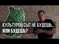 Культурой сыт не будешь... или будешь?