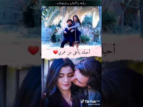 فديت جيبيبي