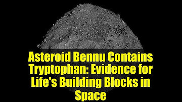 Asteroid Bennu Contains Tryptophan: Evidence for Life