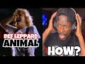 THAT'S MY GUY! Def Leppard - Animal | Reaction
