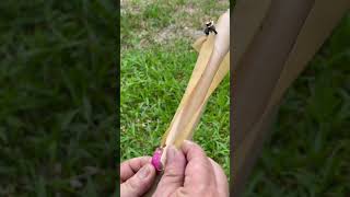 Handcraft a Bamboo Slingshot # Craft Idea # DIY # Simple design