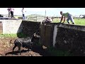Ganadaria HF - Fechar e Embolar Os Touros Para Festival De Capinhas e Recortadores Ilha Terceira