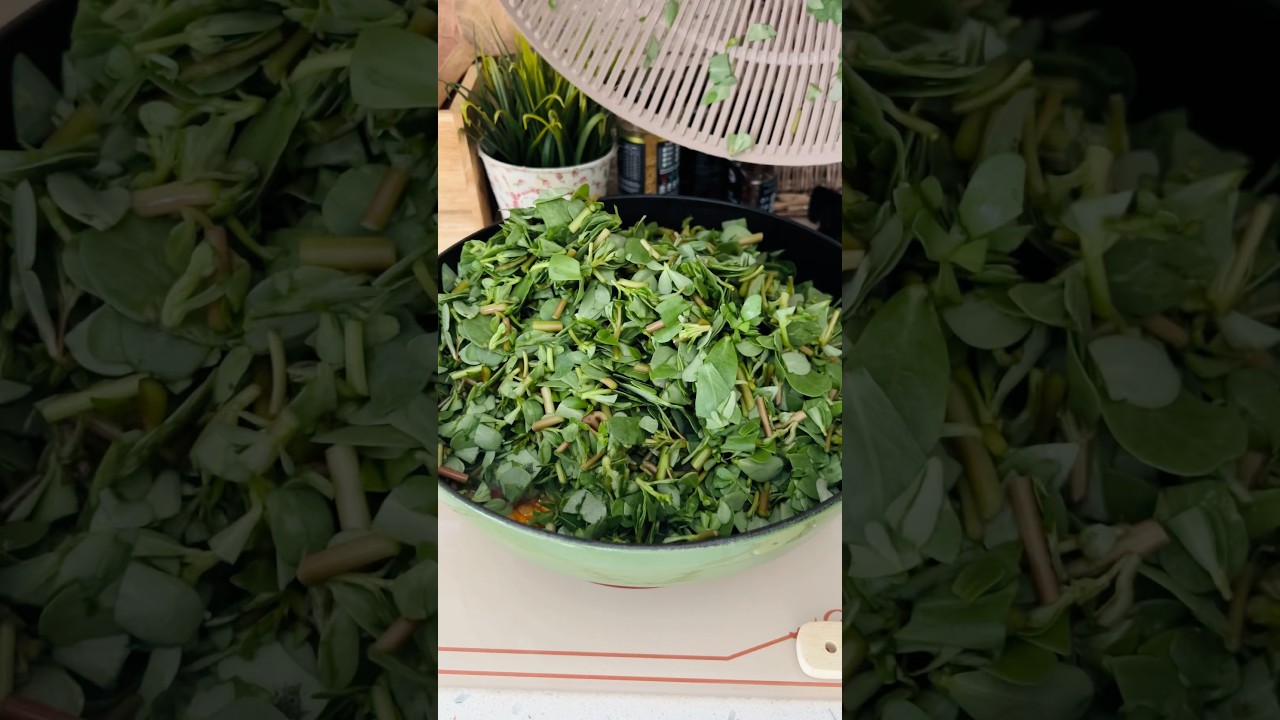 Semizotu yemeğini böyle pişirin ✅ yemek tarifleri / Purslane Dish Semizotu yemeğini böyle pişirin ✅ yemek tarifleri / Purslane Dish