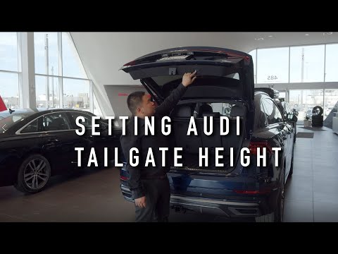 Know Your Audi