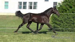 96 Elperfect Creditillini Clic 25