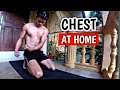 CHEST FOR BEGINNERS AT HOME   No equipment