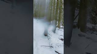 Walking Through Silence A Frozen Path No One Sees #snow #calmnessinmotion #mountains
