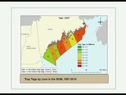 Maine Lobster Trap Tags By Zone 1997 2014 Youtube