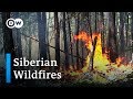 Wildfires in Russia: A climate catastrophe | DW News