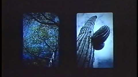 Will Bruder (February 28, 1996) Part 1 of 2