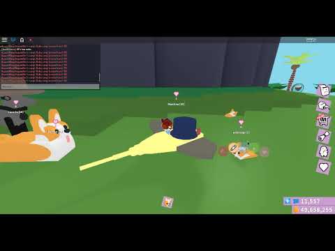 Roblox Feed Your Pet How To Get The Corgi Old Youtube - feed your pets roblox codes 2020