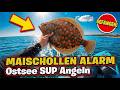 Angeln auf Plattfisch vom Sup Board. Mit Oldschool Köder!