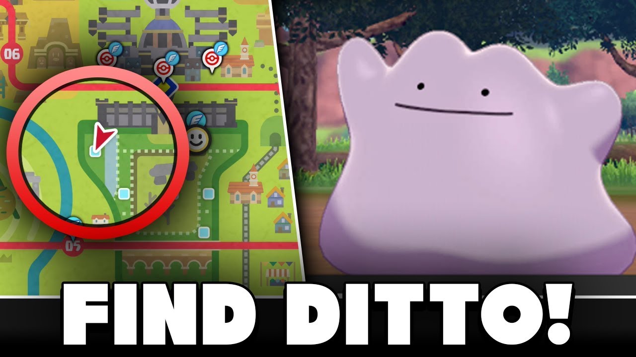 Ditto - How To Get & Stats  Pokemon Sword Shield - GameWith