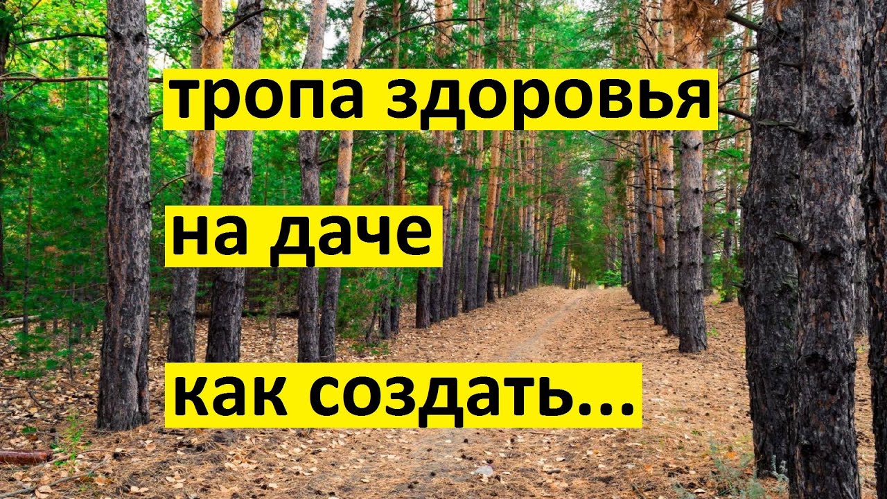 Как создать экологическую тропу здоровья на даче (ч1) Начало. Пересадка ...