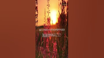 #quran #اكسبلور #قرآن  #راحة_نفسية  سورة الاخلاص بصوت الشيخ ياسر الدوسري