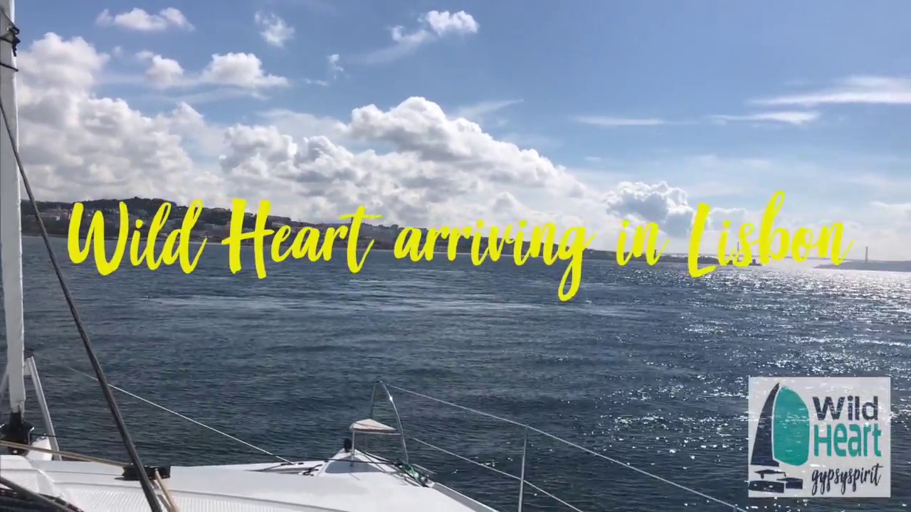 catamaran heart