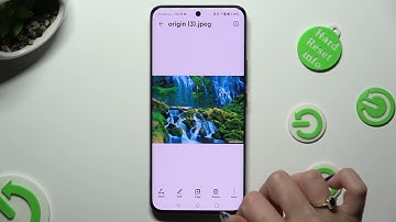 How to Find Downloaded Files on HONOR 90