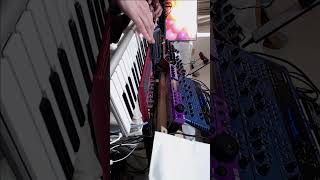 Last One | Synth JAM 130626 | S2 | #electronicmusic #dawless #synth #synthjam