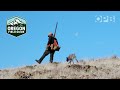 Chukar hunting in oregon  oregon field guide