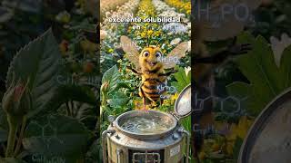 🐝 ¿Cómo controlar hongos en tu cultivo sin afectar a las abejas?