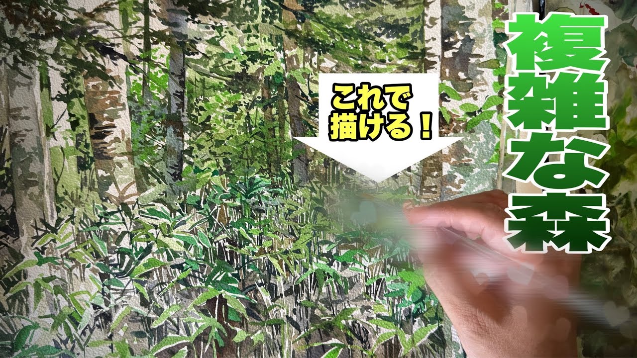 494/新緑の北海道の森を描く！
