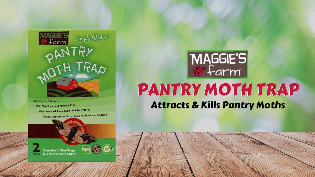 Safer Food Pantry Pest Trap