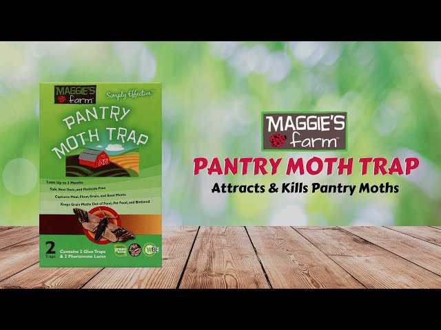 Moths  Control Strategies & Products – Maggie's Farm Ltd