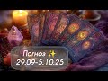 Прогноз ✨29.09-5.10.25 ##розкладтаро #ленорман #українатаро