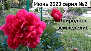 Июнь 2023 №2.Уход за огородом в природном земледелии.