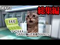 【コンビニ裏話・総集編】バイトの暴走、ハゲ問題…コンビニのリアルがヤバすぎた! #猫ミーム #猫マニ